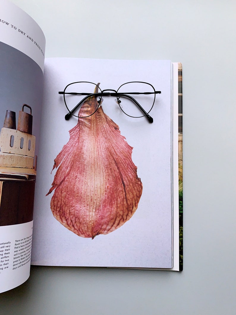 spectacle frame women