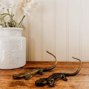 May include: Two metallic lizard figurines with textured scales and curved tails. One lizard has a lighter brass-toned finish, while the other features a darker, aged bronze-toned patina. Both reptiles are depicted in a crawling position.