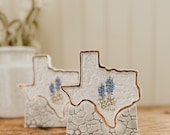 Vintage Texas Salt and Pepper Shaker Set - Blue Bonnet Vintage Handmade Pottery Shaker Set Spice and Condiment Texas Decor Southwestern Blue