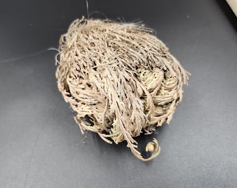 Rosa de Jericó EXTRA GRANDE: La Planta de la Resurrección