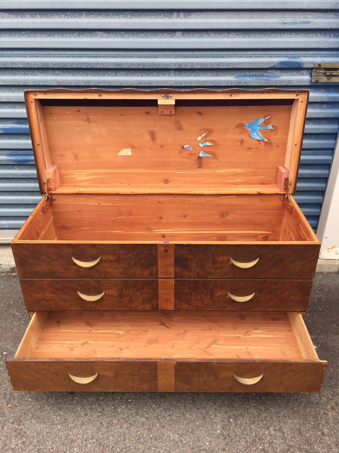Vintage Bluebird cedar chest Etsy