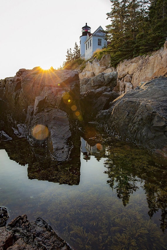 Bass Harbor Sunset Reflection