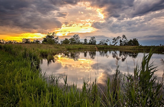 Terrapin Point Pond