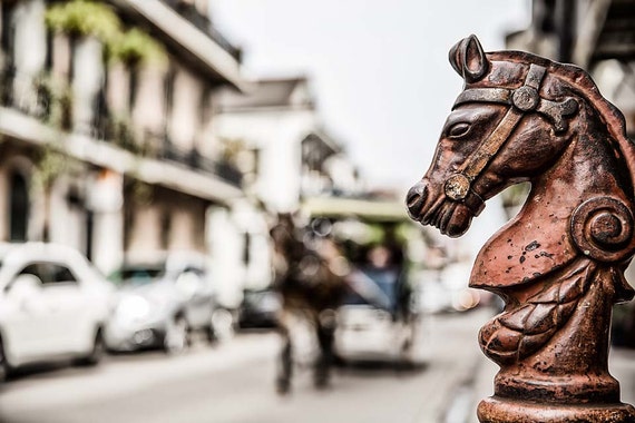 Horses of New Orleans  (Photography)