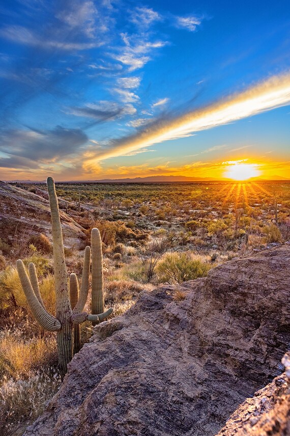 Saguaro Sunset 4