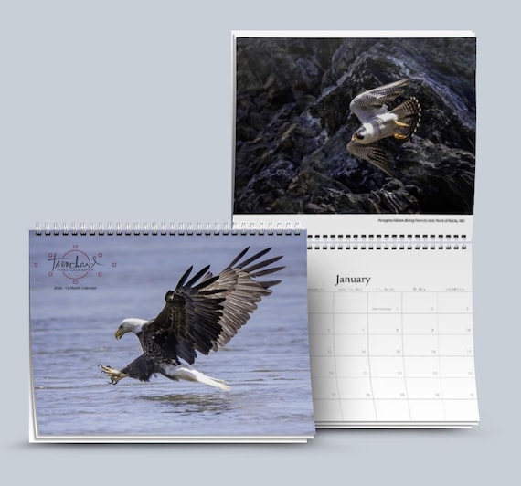 2026 12-Month Calendar