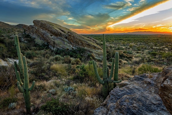 Saguaro Sunset 3