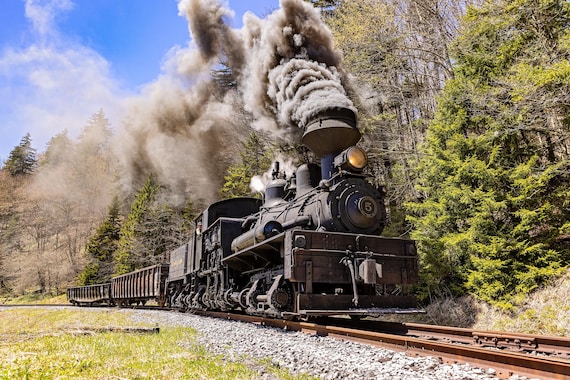 Cass Scenic RR Shay #5