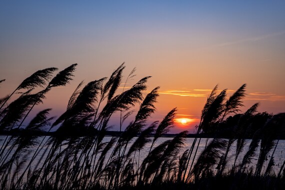 Cambridge Sunset 2