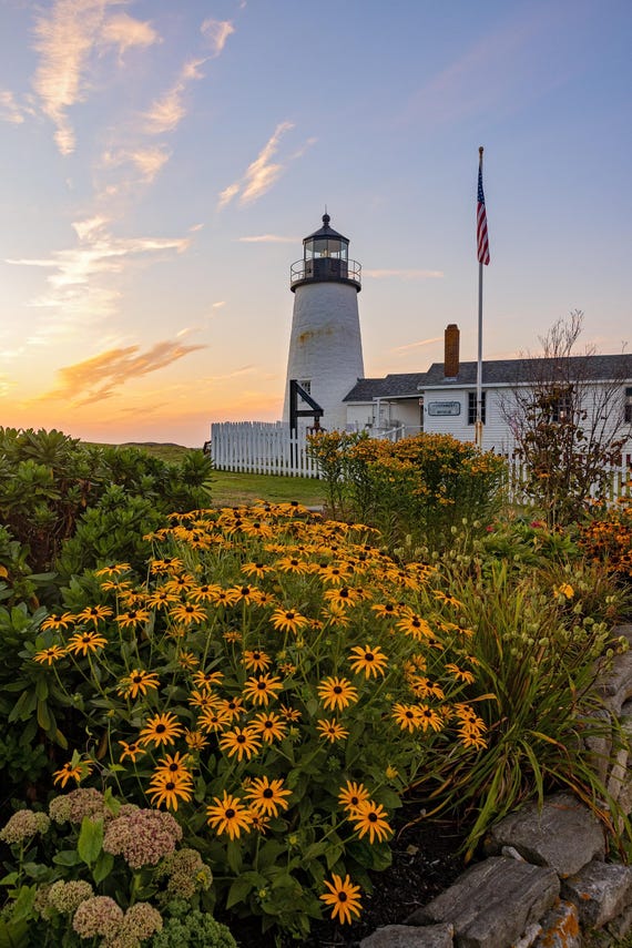 Pemaquid Sunrise with Flowers