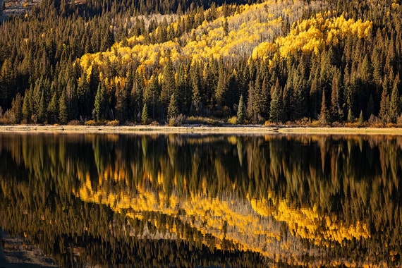 Lost Lake Tree Reflection