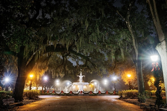An Evening in Forsyth Park
