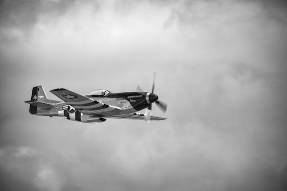 P-51 Quicksilver (Photography)