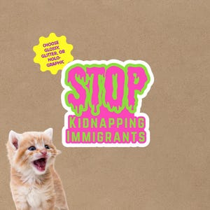 May include: A sticker with the words "STOP KIDNAPPING IMMIGRANTS" in pink and green, with a white border. A yellow starburst sticker says "CHOOSE GLOSSY, GLITTER, OR HOLO-GRAPHIC." A kitten with orange and white fur is in the lower left corner.