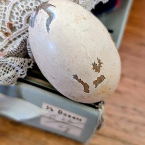 Könnte beinhalten: Cremefarbenes, oval geformtes Dekorationsei mit einem verwitterten, rissigen Finish. Das Ei hat Bereiche, in denen die Farbe abgeplatzt ist und das Holz darunter freilegt. Das Ei liegt auf einer hellblauen Oberfläche mit der Aufschrift "½ Dozen".