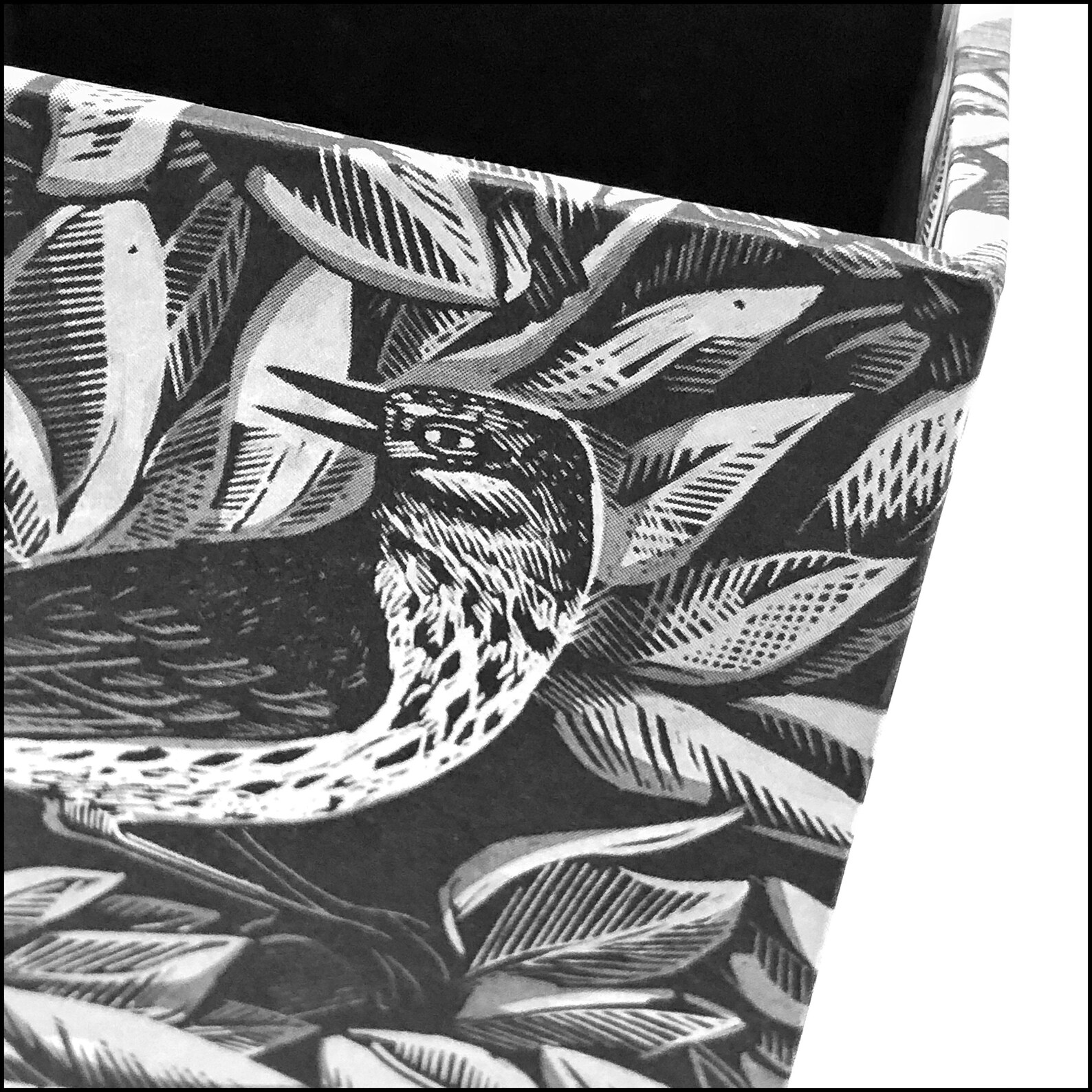 Pencil Holder Desk Tidy Cartonnage Etsy UK