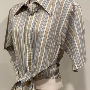 70s men's oxford shirt, half sleeve, Manhattan DQ Originals, striped, big collar image 10