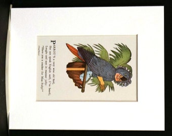Moss - Bird Children - 1939 - GRAY PARROT- Miss POLLY Wants a Cracker - Professionally Matted Vintage Children's Book Illustration Art Print
