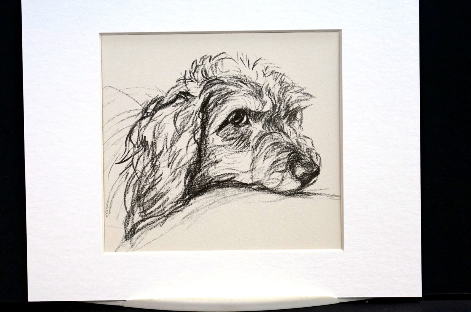 Lucy Dawson Vintage Dog Print - COCKER SPANIEL PORTRAIT - 1937 - Fine ...