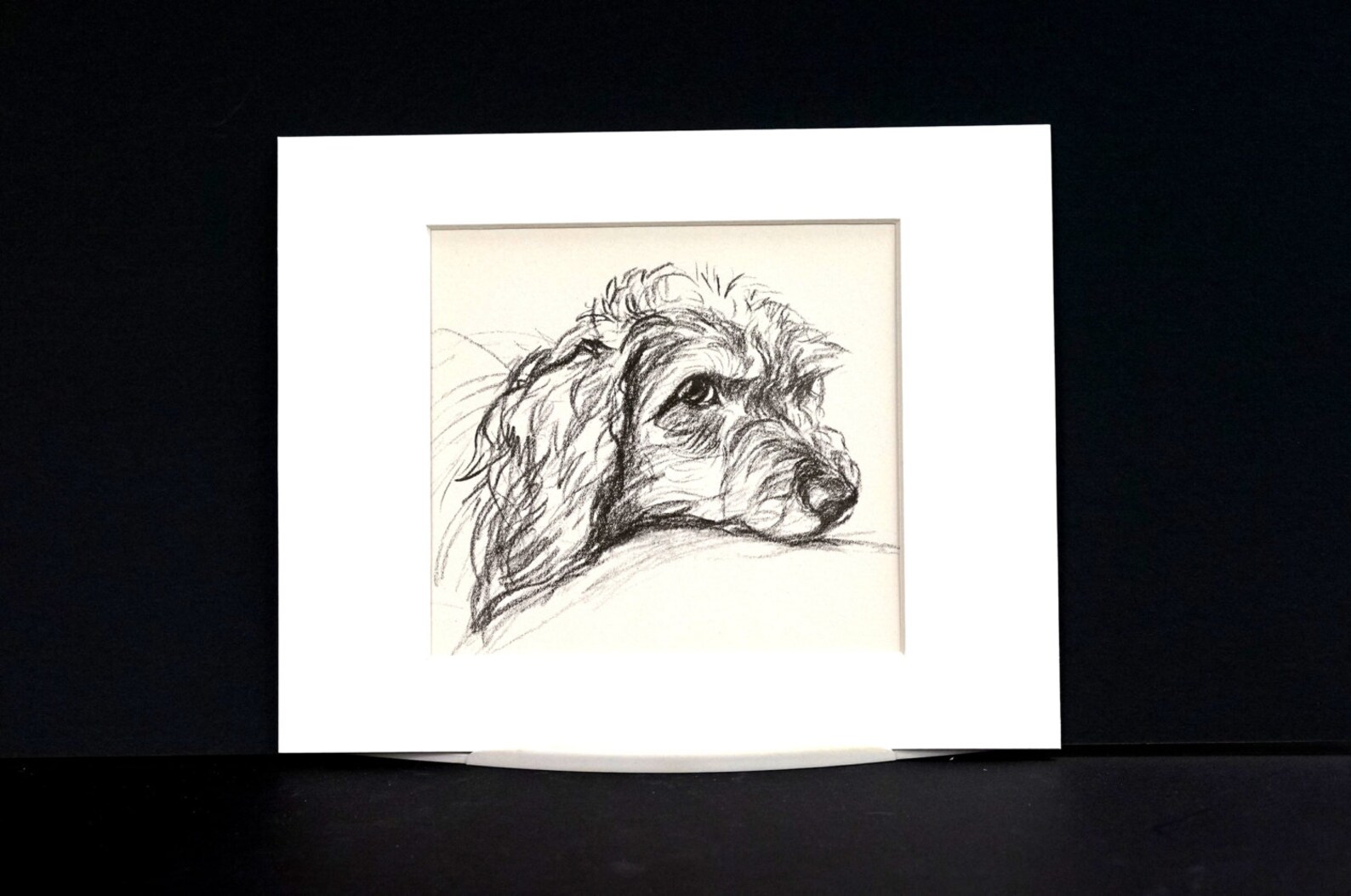 Lucy Dawson Vintage Dog Print COCKER SPANIEL PORTRAIT 1937 - Etsy