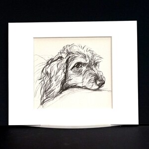 Lucy Dawson Vintage Dog Print - COCKER SPANIEL PORTRAIT - 1937 - Fine ...