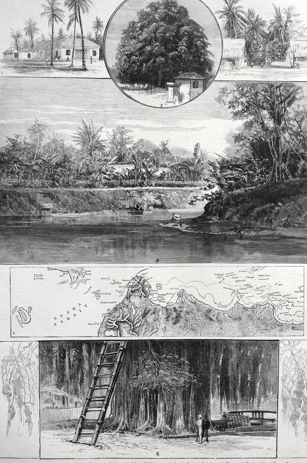 Java Island Indonesia MAP - 1883 ANJER POINT Batavia Banyan Tree ...