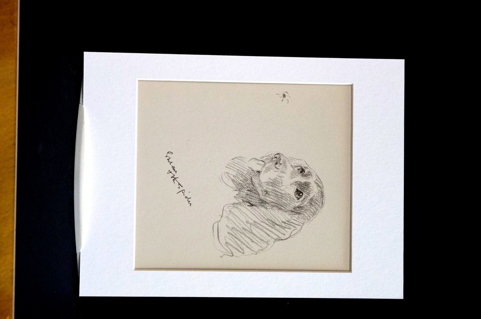 Lucy Dawson Vintage Dog Print - 1937 - COCKER SPANIEL - Eye on the ...