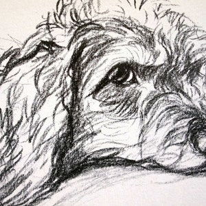 Lucy Dawson Vintage Dog Print - COCKER SPANIEL PORTRAIT - 1937 - Fine ...