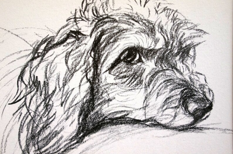 Lucy Dawson Vintage Dog Print COCKER SPANIEL PORTRAIT 1937 - Etsy