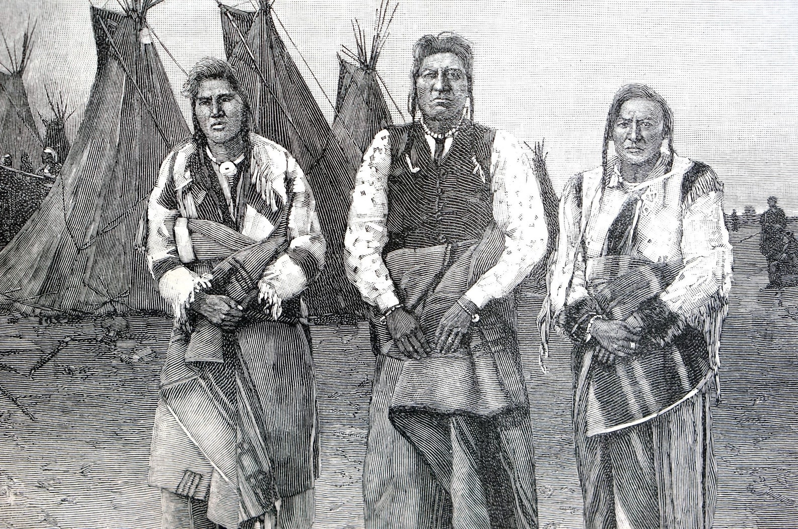 Spotted eagle and black crow essay 06 picture