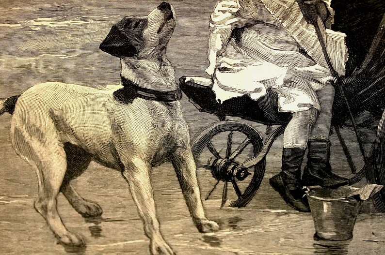 May include: An antique illustration depicts a dog with a black and white head and a collar, looking upwards. A person is partially visible near a carriage wheel. The scene is rendered in black and white with detailed cross-hatching.