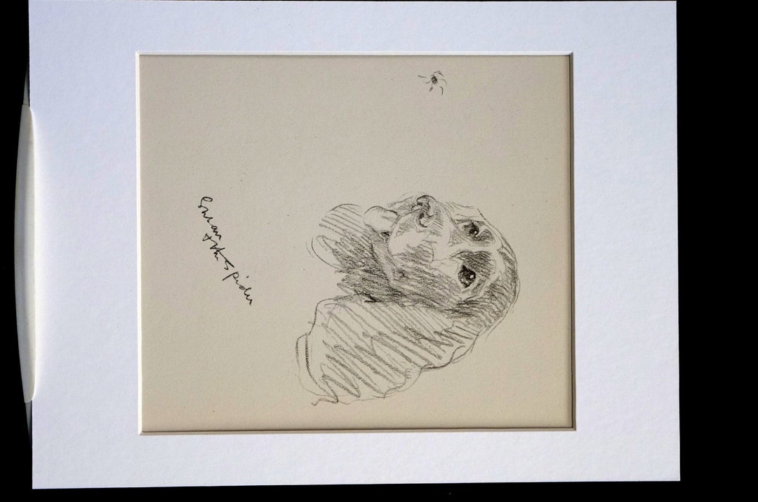 Lucy Dawson Vintage Dog Print - 1937 - COCKER SPANIEL - Eye on the ...