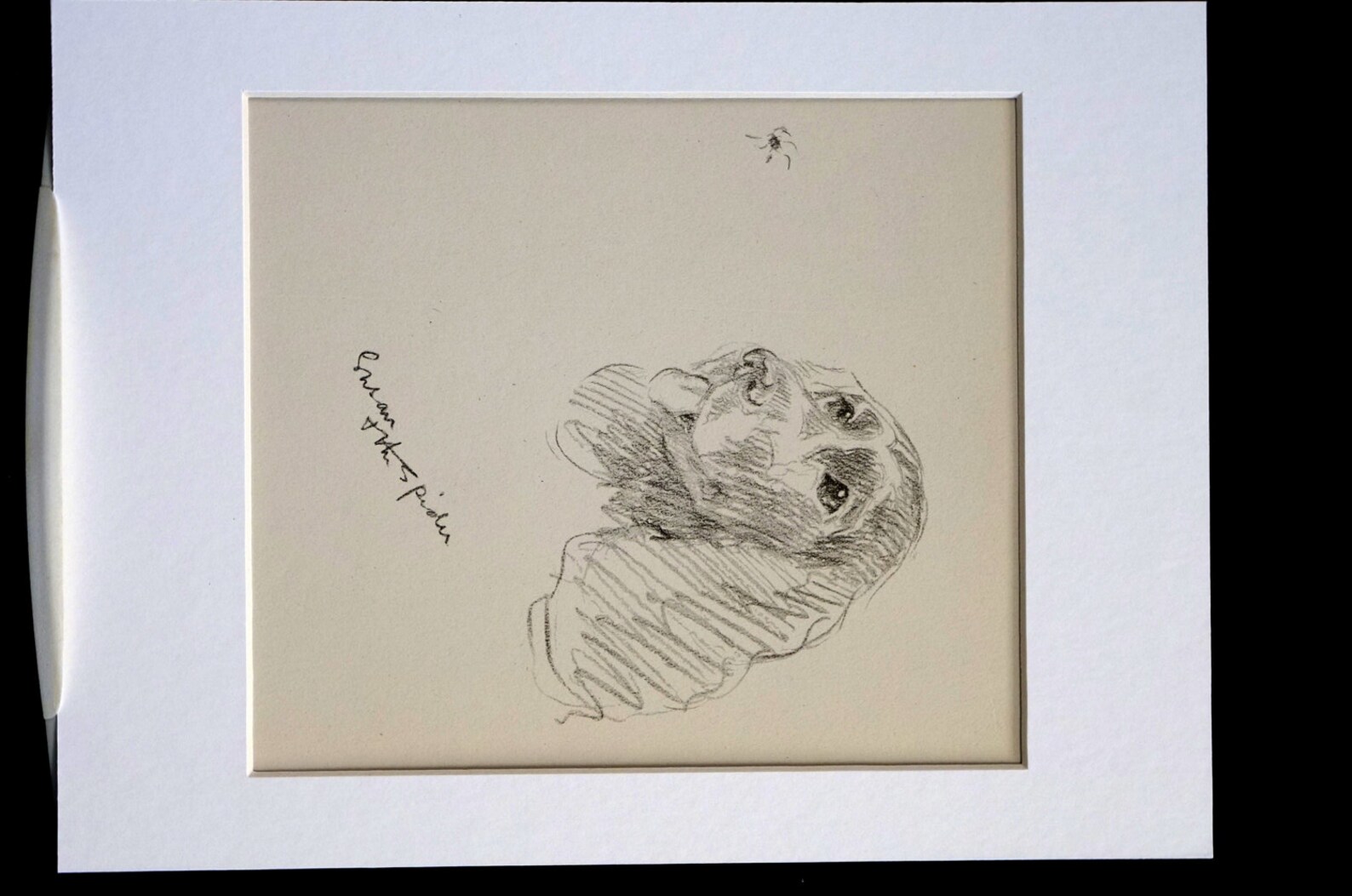 Lucy Dawson Vintage Dog Print - 1937 - COCKER SPANIEL - Eye on the ...