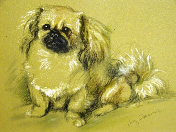 PEKINGESE SLEEPING DOG LOVELY PRINT MOUNTED READY TO FRAME