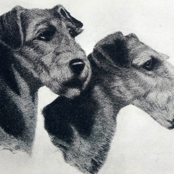 Airedale Airedales Portrait 1931 JACK and JILL Ltd. Ed. Print by Bert Cobb Professionally Matted Dog Print Ready to Frame