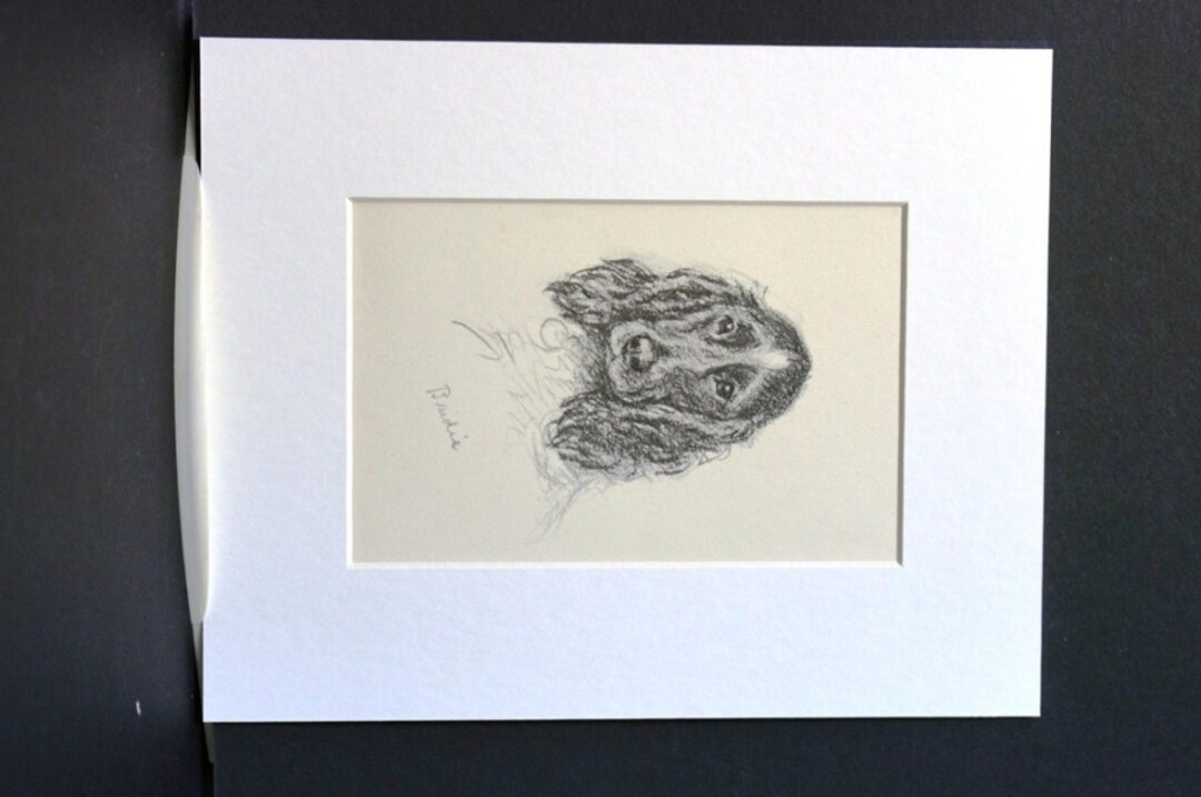 Lucy Dawson Dog Print IRISH SETTER or English Cocker SPANIEL W Soleful ...