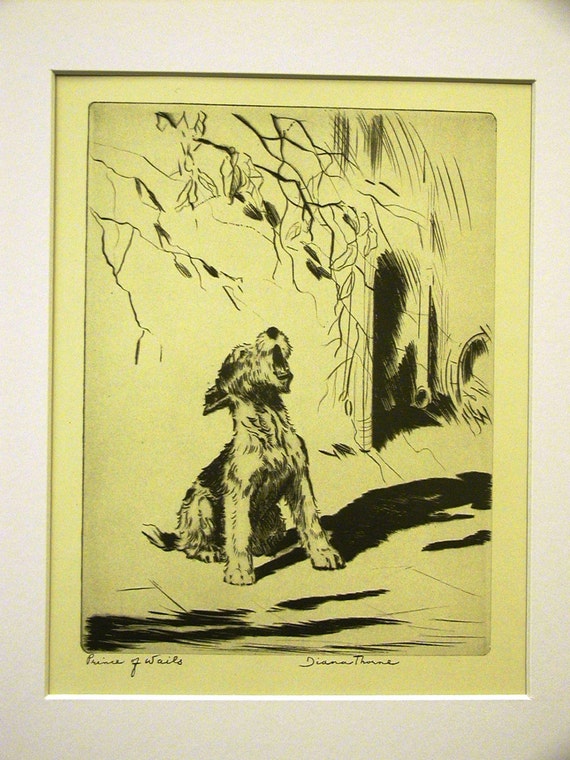 Diana Thorne Vintage Dog Print - 1936 - FOX TERRIER PUPPY - Prince