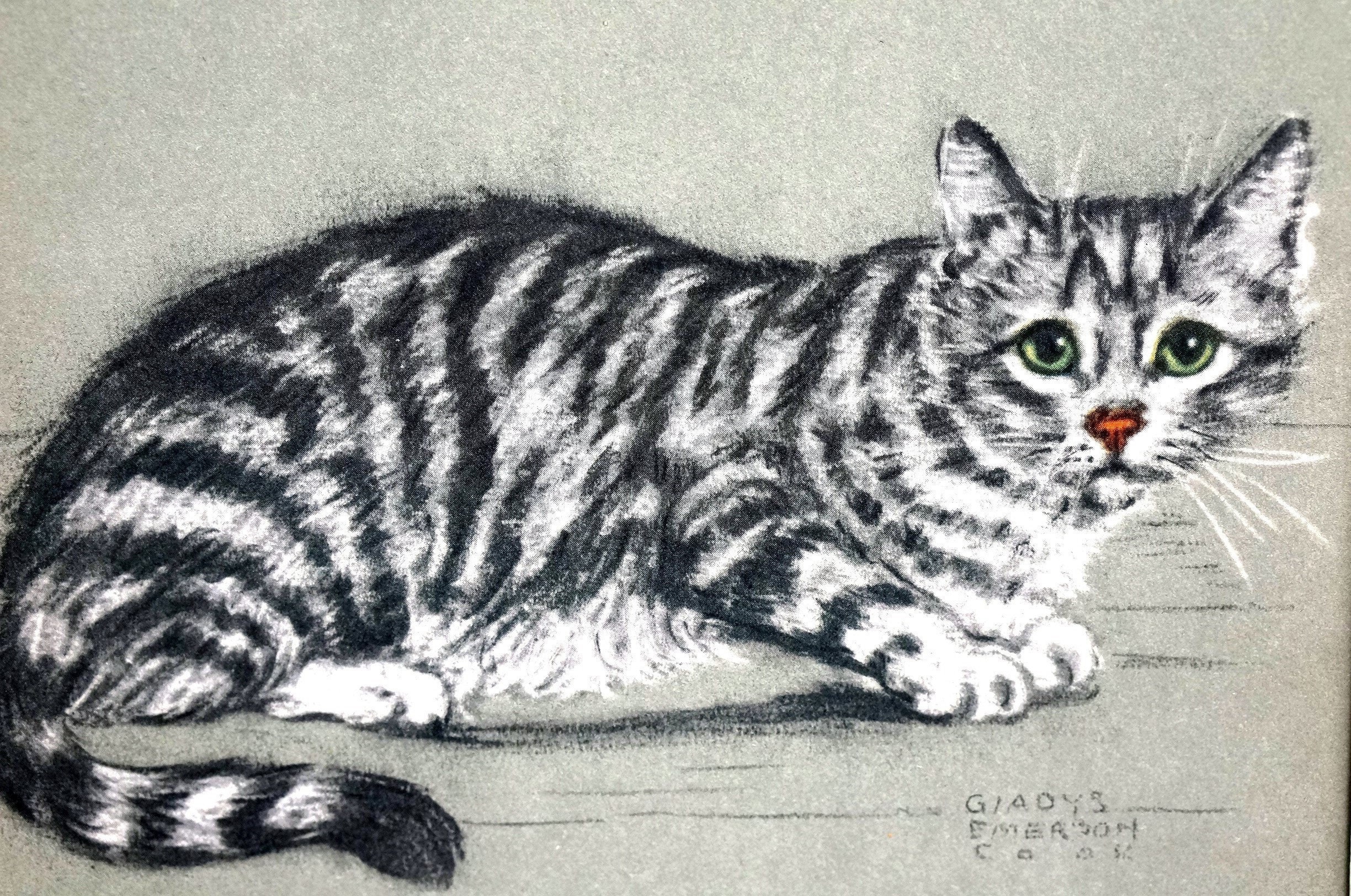 Black and White STRIPED CAT KITTEN 1941 Big Green Eyes