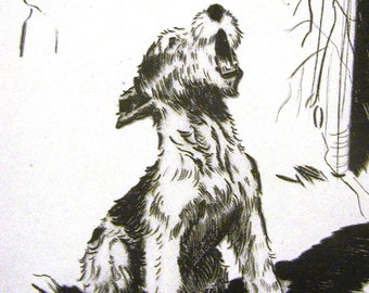Diana Thorne Vintage Dog Print  - 1936 - FOX TERRIER PUPPY -  Prince of Wails - Fine Quality Professionally Matted Art Ready to Frame Art