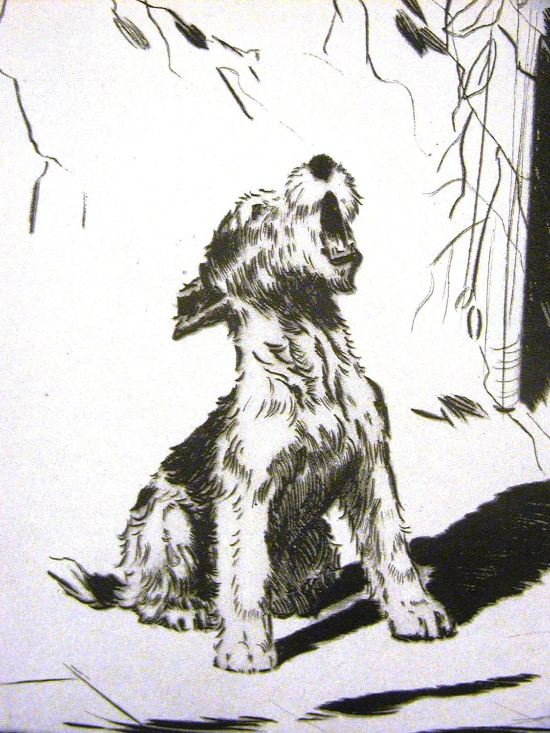 Diana Thorne Vintage Dog Print - 1936 - FOX TERRIER PUPPY - Prince