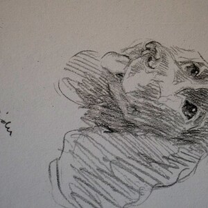 Lucy Dawson Vintage Dog Print - 1937 - COCKER SPANIEL - Eye on the ...