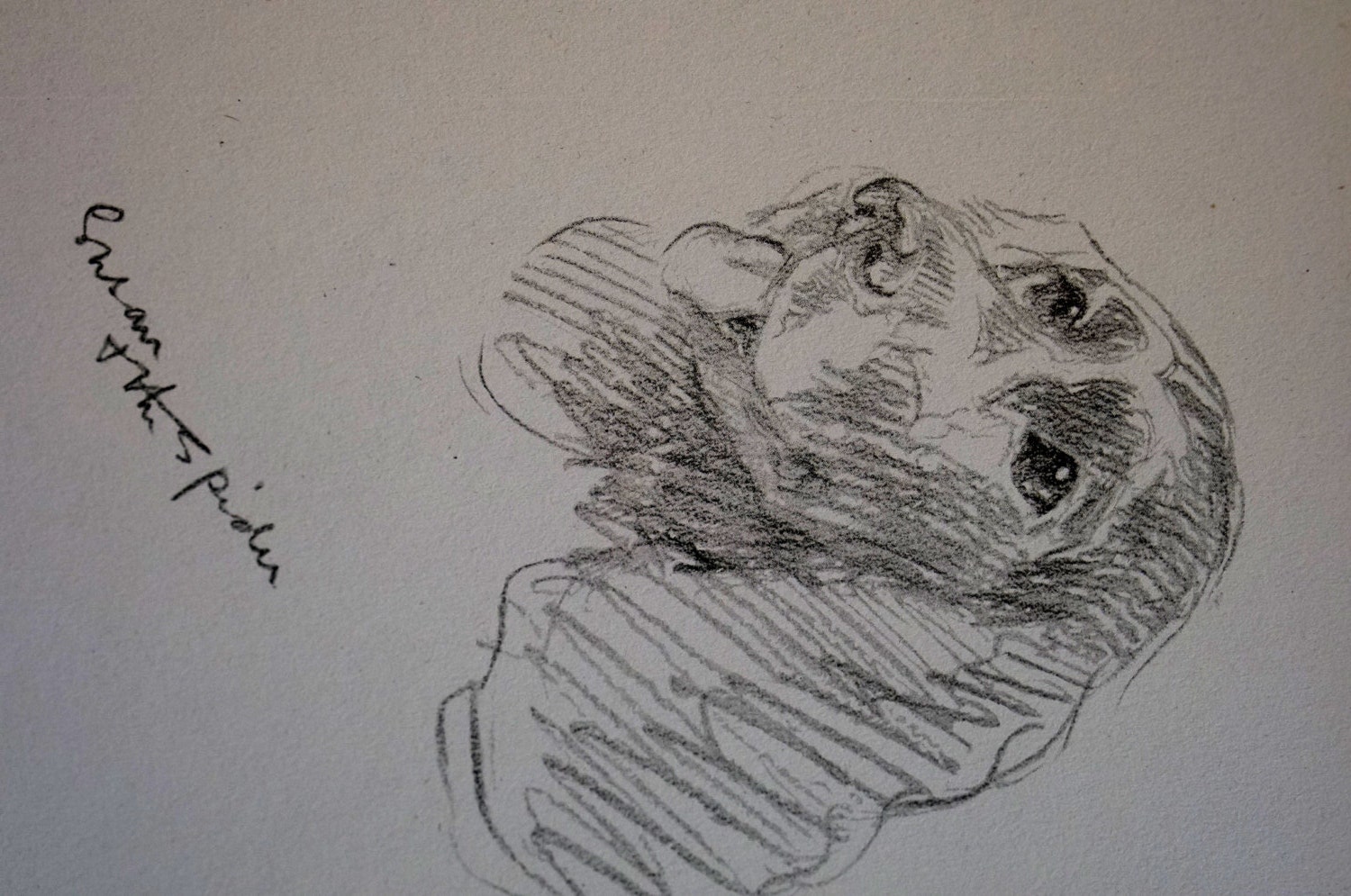 Lucy Dawson Vintage Dog Print - 1937 - COCKER SPANIEL - Eye on the ...