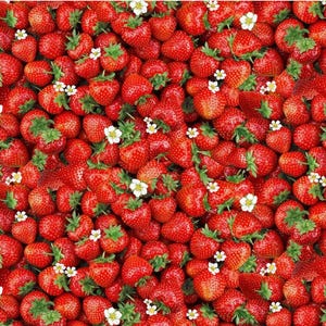 Yd Packed Sweet Strawberries - Berry Sweet Collection for Timeless Treasures - sold by the YARD 168