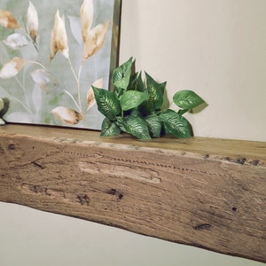 Puede incluir: Una estanter&iacute;a de madera r&uacute;stica con un acabado de madera natural. La estanter&iacute;a est&aacute; decorada con una pintura de hojas y una peque&ntilde;a figurita de p&aacute;jaro blanco.