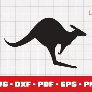 Kangaroo svg, Australia file, animal png  - PNG - DXF - Cricut - Vector Clipart