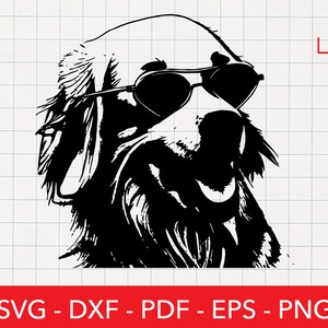 Golden Retriever with Sunglasses Svg, Shades Svg, Cool Dog, Funny Animal Png File, Shirt Design, Cricut, Logo, Summer
