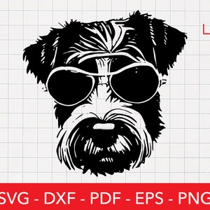 Labradoodle mit Sonnenbrille, Cooler Hund, lustiges Tier Png Datei, Shirt Design, Cricut, Logo, Sommer Clipart