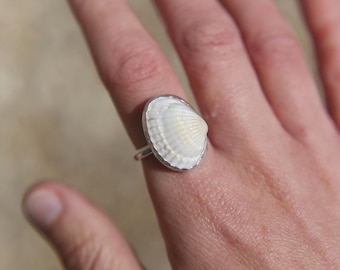 Handmade Eco Sterling Silver Ark Shell Ring - Coastal Jewelry