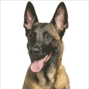 Belgian Shepherd Digital PDF Counted Cross Stitch Pattern