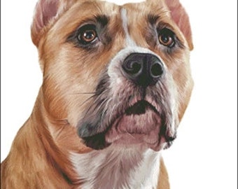 Pitbull Cross Stitch Etsy